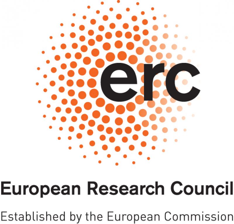 Mathematics – Spotlight on ERC Projects