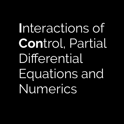 ICON – Interactions of Control, Partial Differential Equations and Numerics