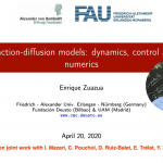 Webinar: Control of reaction-diffusion models arising in Social and Biological Sciences