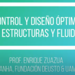 Optimal Control and Design of Structures and Fluids by Enrique Zuazua
