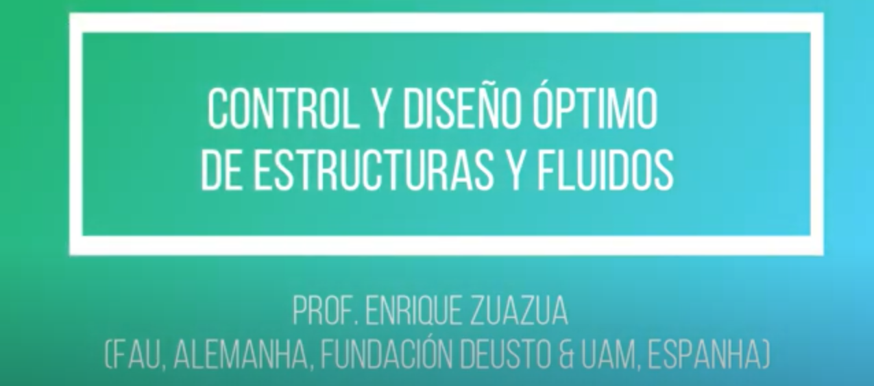 Optimal Control and Design of Structures and Fluids by Enrique Zuazua