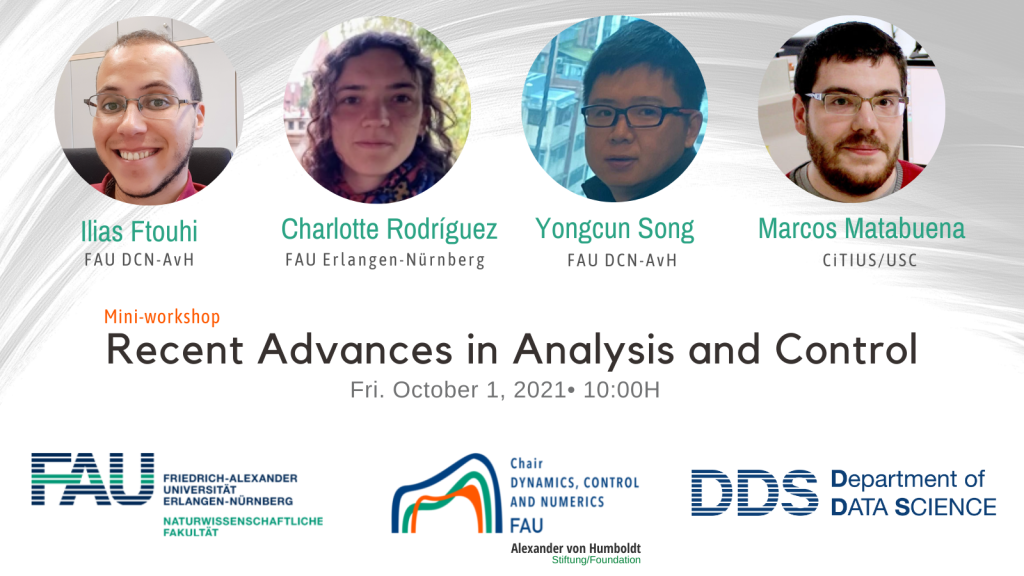 Mini-workshop: Recent Advances in Analysis and Control