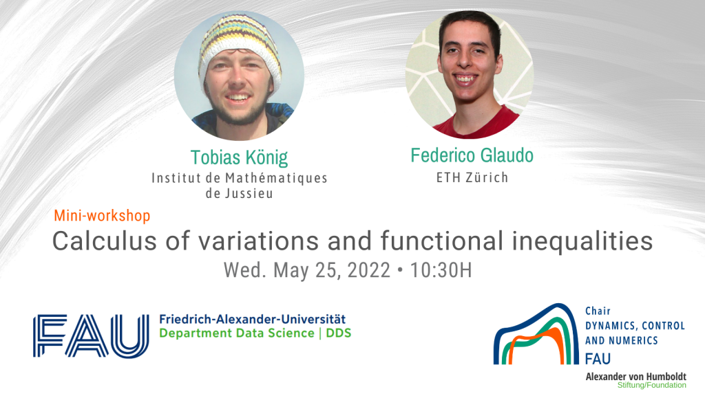 Mini-Workshop “Calculus of Variations and Functional Inequalities”