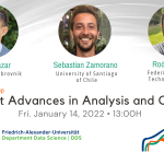 Mini-Workshop “Recent Advances in Analysis and Control”