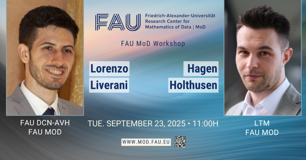FAU MoD workshop L. Liverani / H. Holthusen