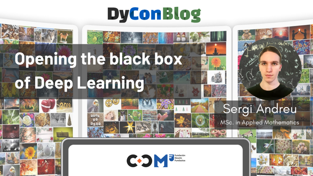 Opening the black box of Deep Learning