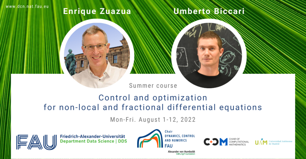 Summer course: Control and optimization for non-local and fractional differential equations