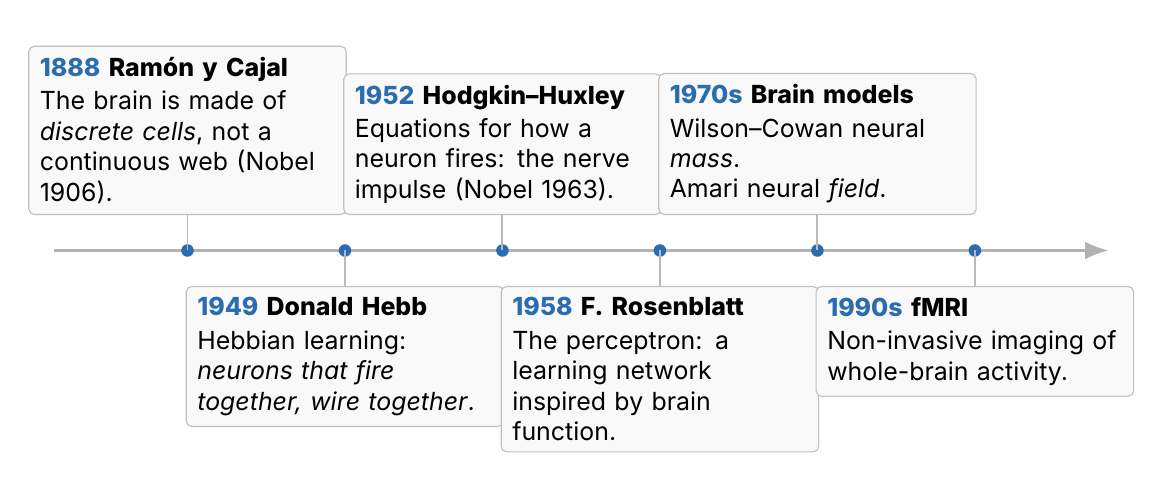 Timeline of brain modelling